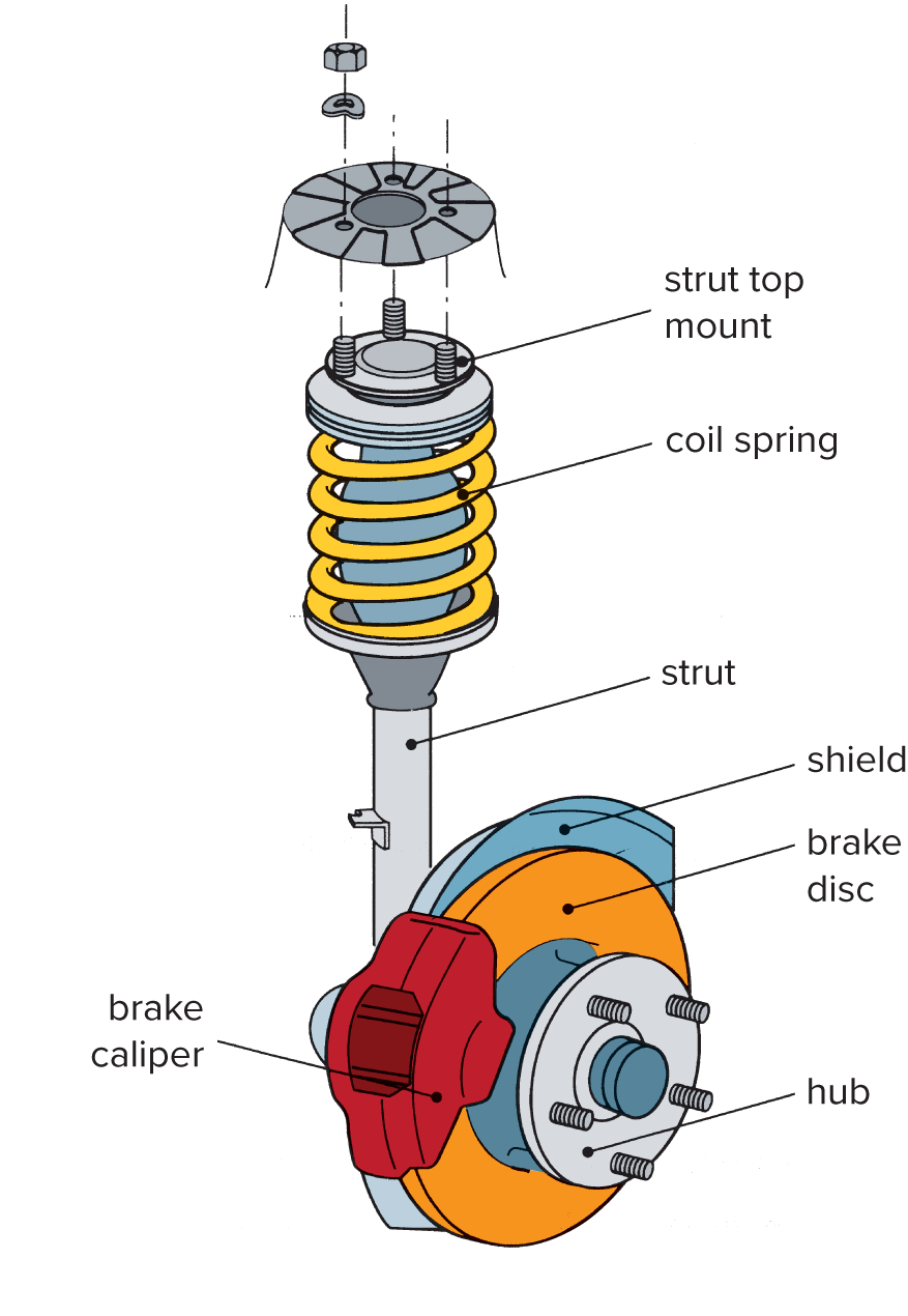 Strut-type suspension with its wheel hub and disc brake