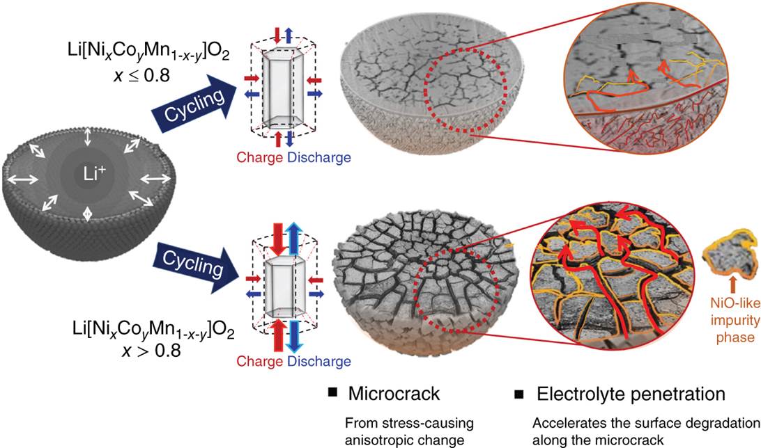Capacity fading scheme of Ni-rich cathode materials.