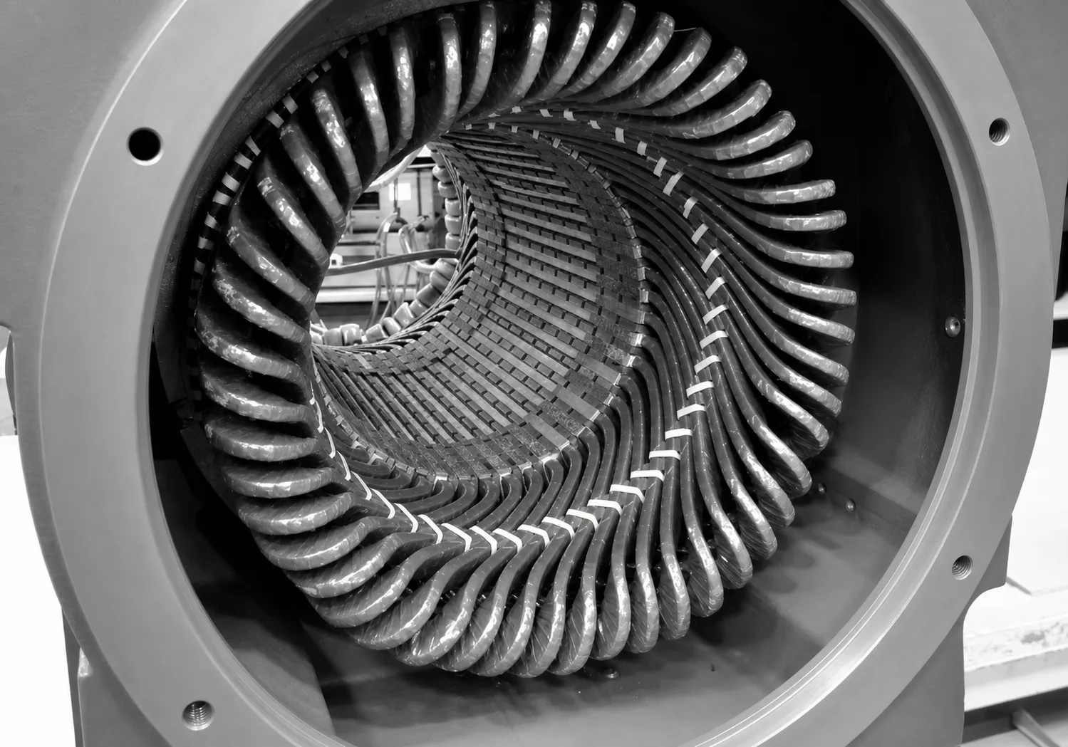 Stator windings.